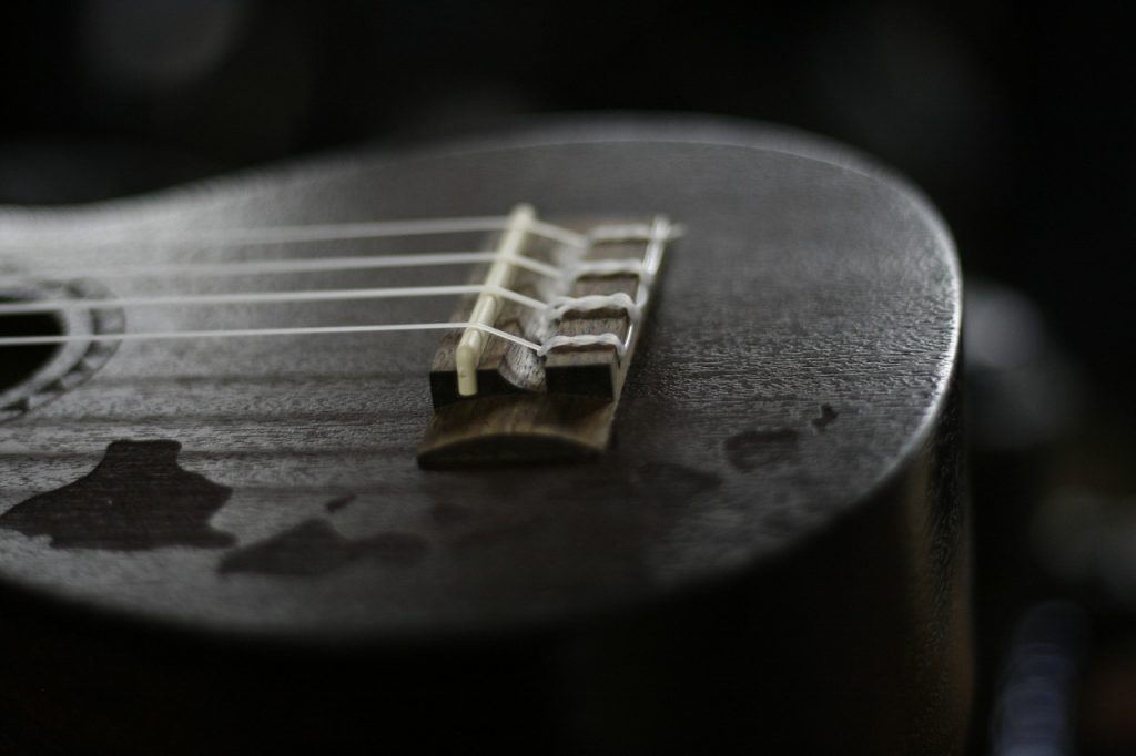 ukulele, wood, instrument